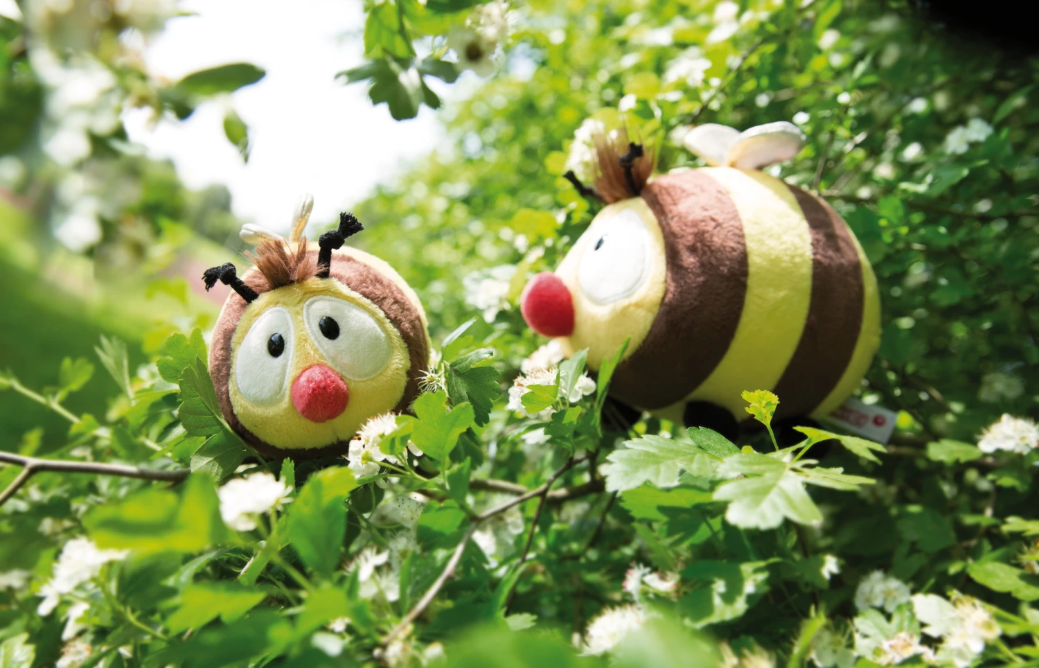 Nici 44480 Biene Classic Bear Bär Ca 12cm Plüsch Kuscheltier 7 Nici 44480 Biene Classic Bear Bär Ca 12cm Plüsch Kuscheltier – Bild 5