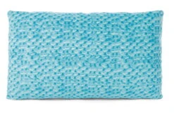 Nici 47615 Kissen Bär Kakaobraun & Frosch 43x25cm Plüsch Classic Bear GREEN -Bester Spielzeug Geschäft 47615 02 ZA Frei 2048x1336