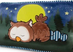 Nici 47879 Kissen Eule Oscar Schlafend Glow In The Dark 43x25cm Plüsch Owlsons -Bester Spielzeug Geschäft 47879 04 ZA Frei 2048x1451