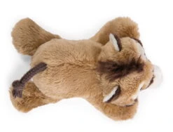 Nici 47956 MagNICI Nasenbär Coaty 12cm Magnetfigur Plüsch Wild Friends GREEN 6 Nici 47956 MagNICI Nasenbär Coaty 12cm Magnetfigur Plüsch Wild Friends GREEN -Bester Spielzeug Geschäft 47956 02 ZA Frei 2048x1557