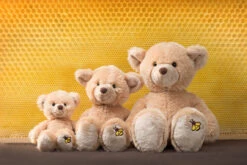 Schaffer 5660 Plüsch Teddy Honey Ca 18cm -Bester Spielzeug Geschäft 5660honey1 1